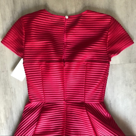 NWT Ted Baker Fuschia Pink Mesh Stripe Dress - Picture 5 of 6
